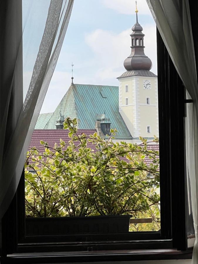 Hotel Maxim Frydek-Mistek Exterior photo